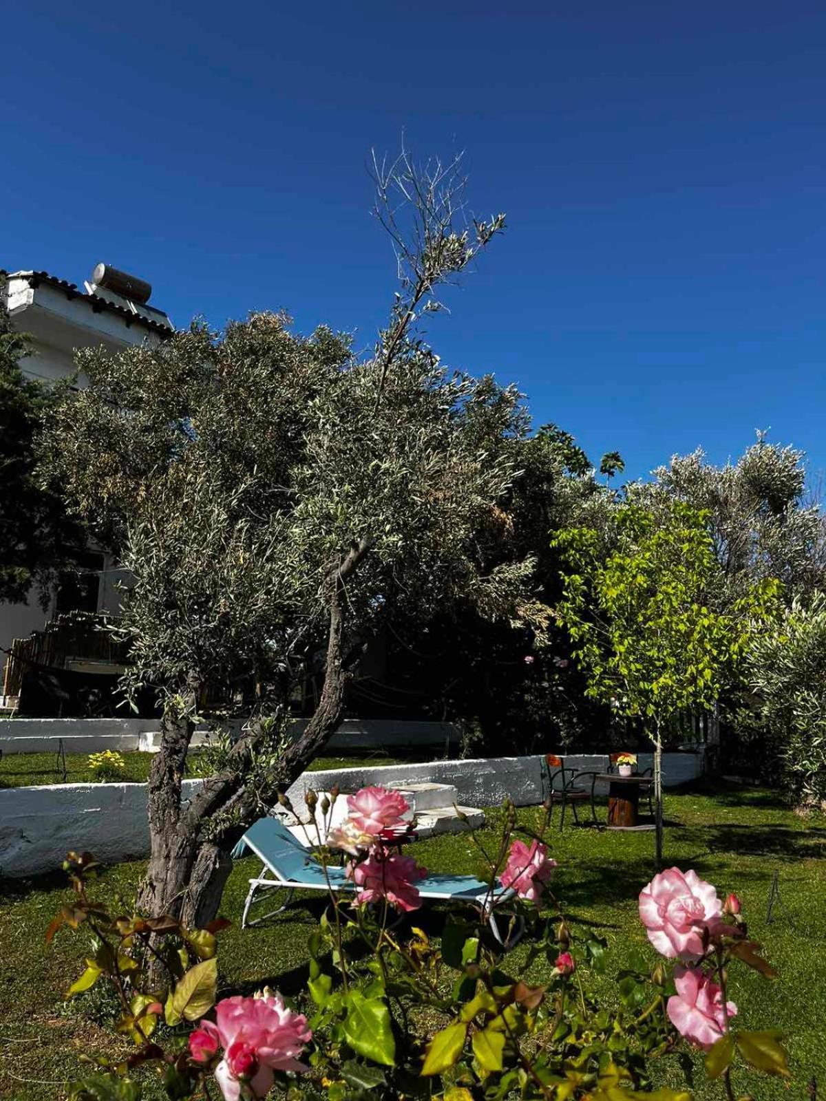 Savvinio Country Apartment Alejandrópolis Exterior foto
