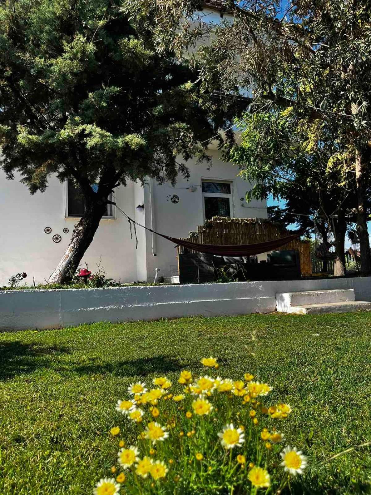 Savvinio Country Apartment Alejandrópolis Exterior foto
